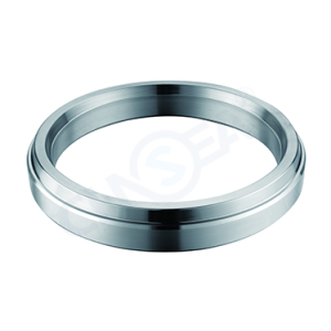 ring joint gasket