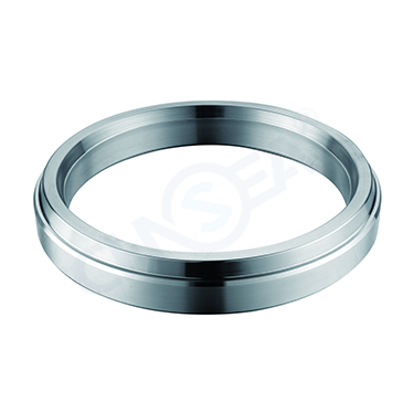 ring joint gasket