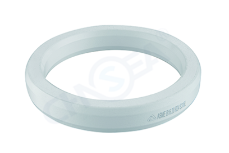 ring joint gasket